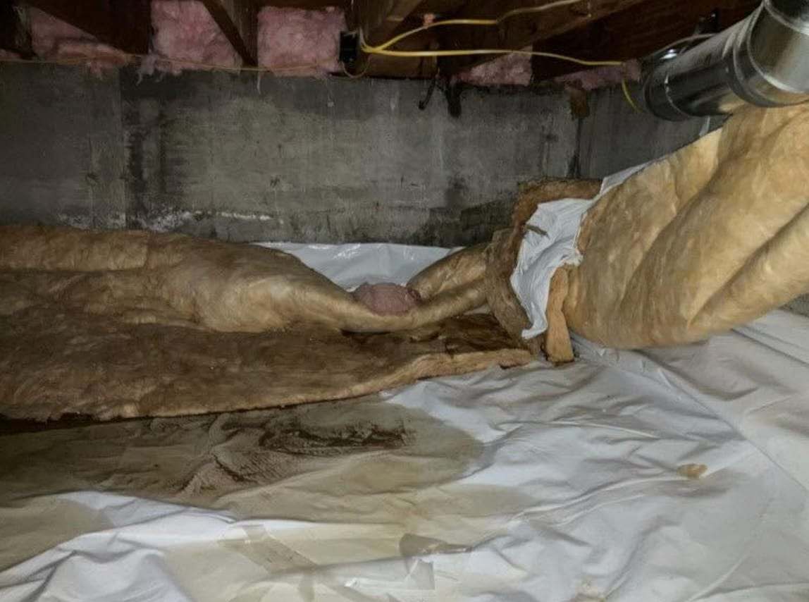 Crawlspace with sagging wet insulation over a vapor barrier